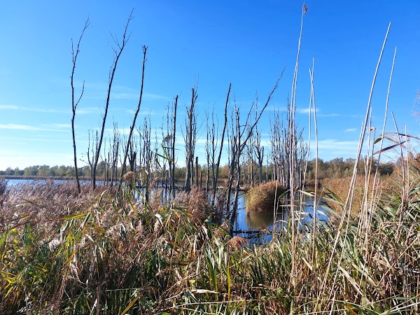 Polder Jantjesplaat 5