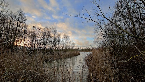 Polder Jantjesplaat 3