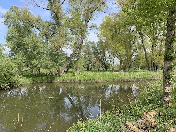 Polder Jantjesplaat 2