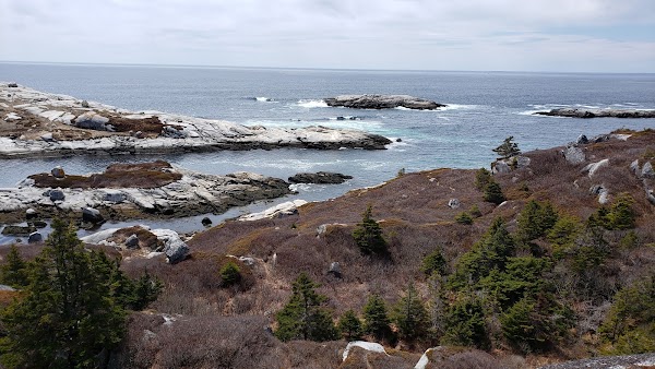 Polly's Cove Trail