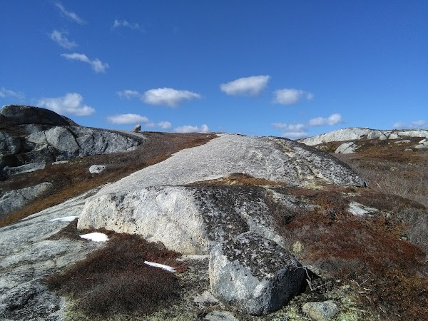 Polly's Cove Trail 5