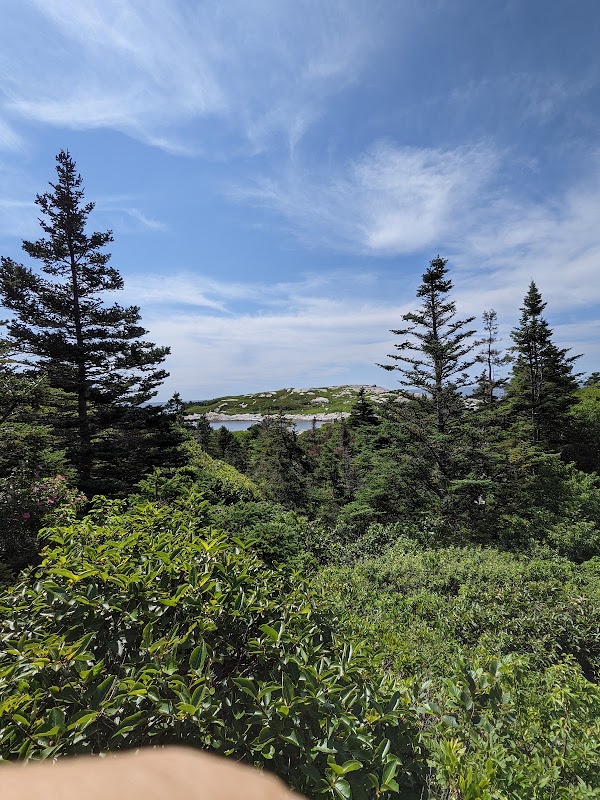 Polly's Cove Trail 4