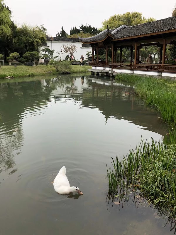 Hangzhou 14