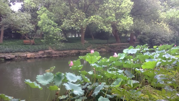 Xihu 2