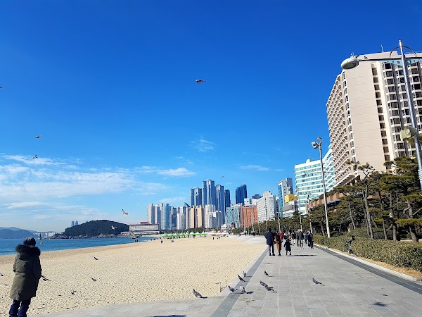 Busan 4