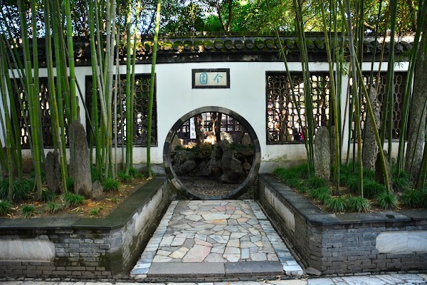 Shanghai 9