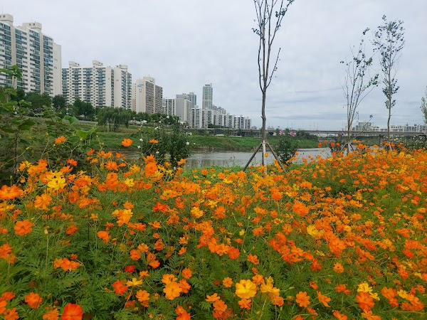 Anyangcheon Stream Entrance 1