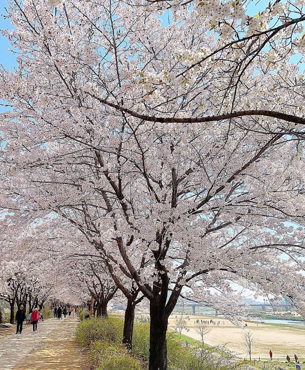 Anyangcheon Stream Entrance 4