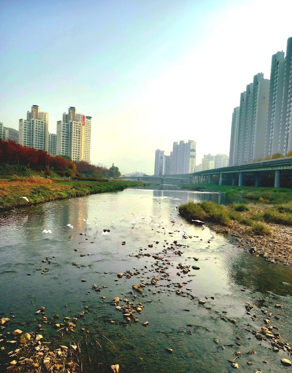 Anyangcheon Stream Entrance 3