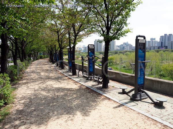 Anyangcheon Stream Entrance 2