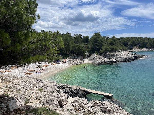 Mekićevica (Beach)