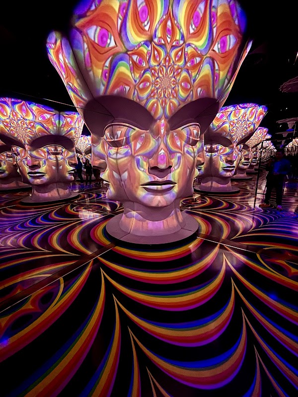 Meow Wolf Las Vegas' Omega Mart 4