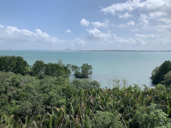 Chek Jawa Trail 3