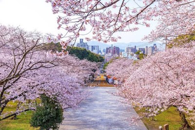 Fukuoka 10