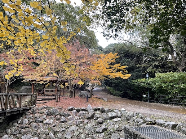 Nishi Park 5