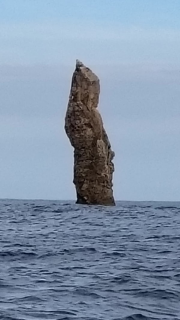 The Aldermen Islands 5