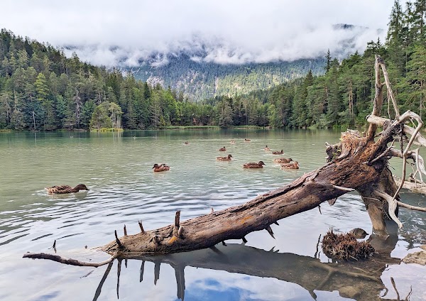 Weissensee 5