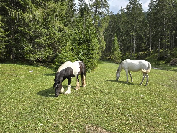 Weissensee 4