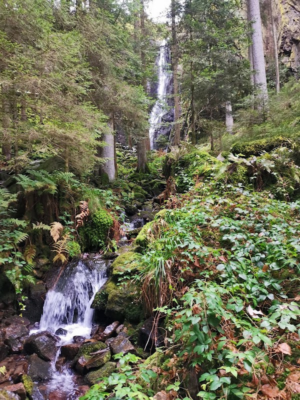 Burgbach Wasserfall 5