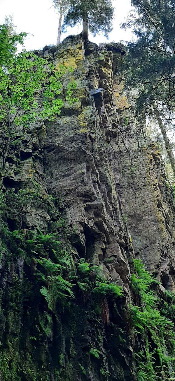Burgbach Wasserfall 2