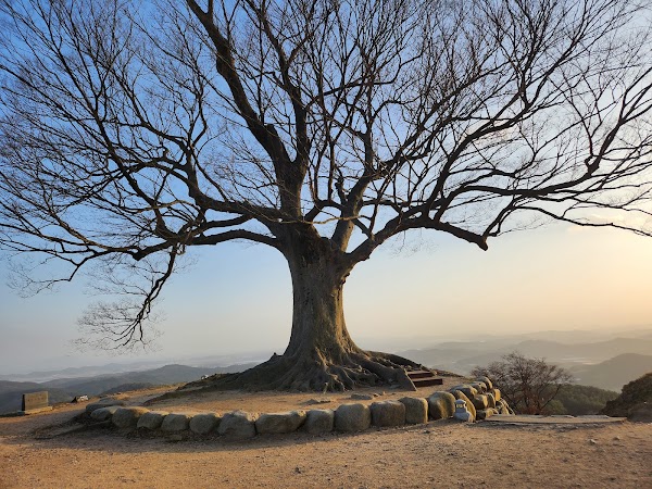 Buyeo Garimseong Fortress(Seongheung Sanseong Fortress)