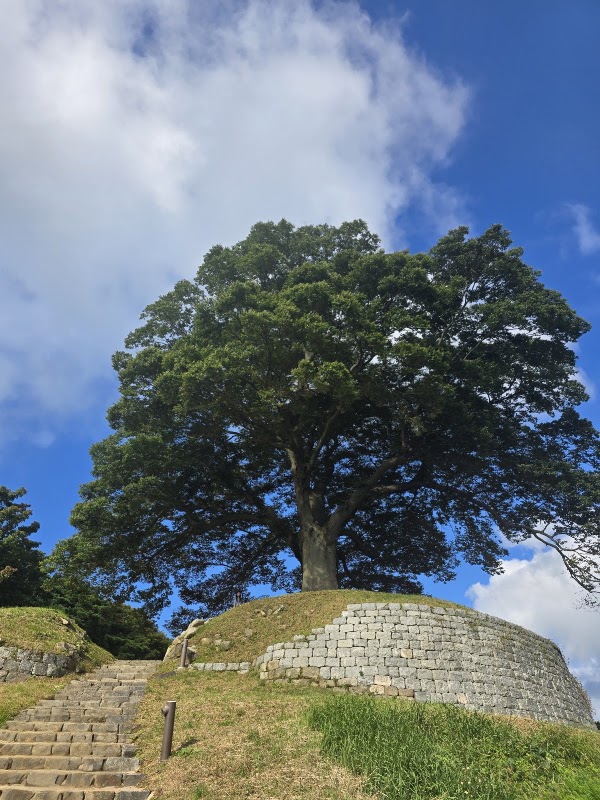 Buyeo Garimseong Fortress(Seongheung Sanseong Fortress) 2