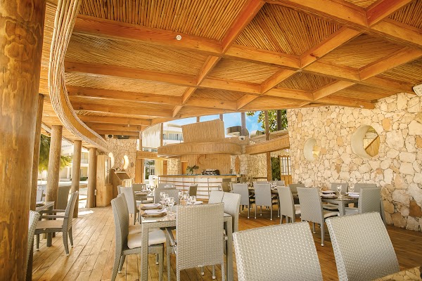 Jellyfish Restaurant 1
