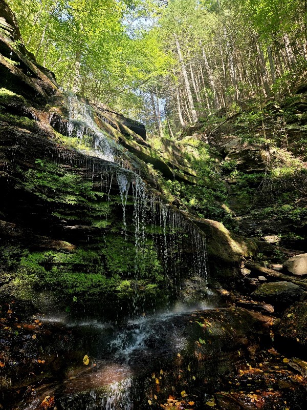 Turkey Path Trail 1