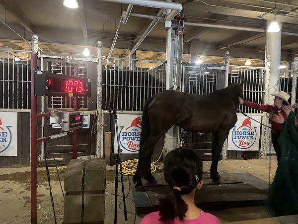 Horse Palace