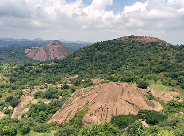 Ramadevarabetta Vulture Sanctuary Ramanagara district 1