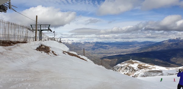 Masella
