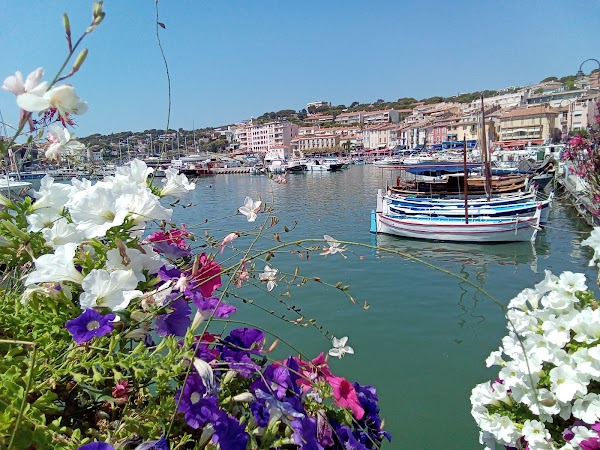 Cassis 2