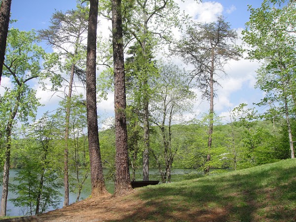 Fairy Stone State Park
