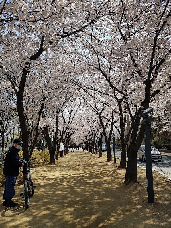 Arte Suseong Land
