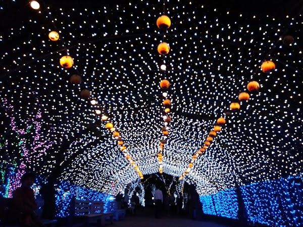 Arte Suseong Land 5