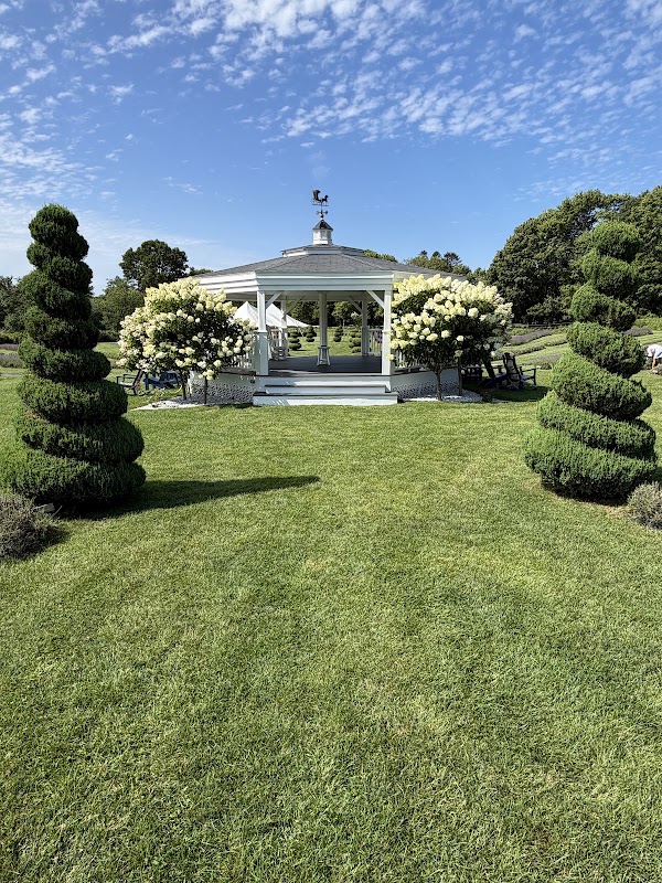 Lavender Waves Farm