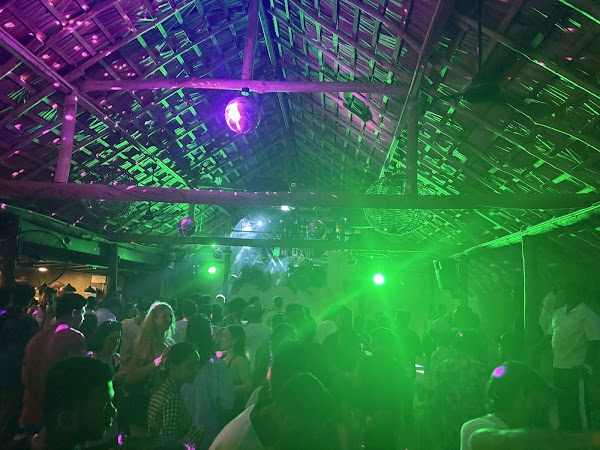 Secret Jungle Party