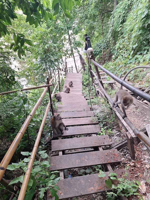 Monkey Trail, Ao Nang 1