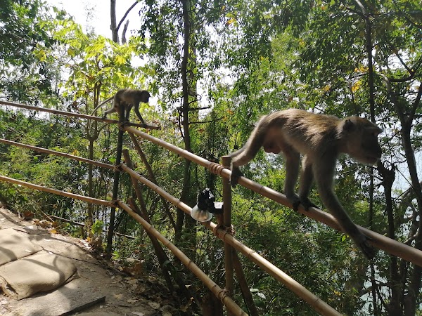 Monkey Trail, Ao Nang 5