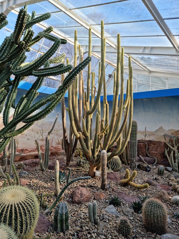 Christchurch Botanic Gardens 2