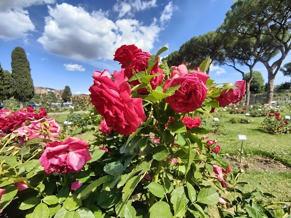 Roseto comunale