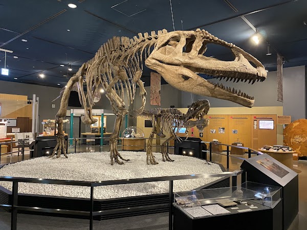 Nagoya City Science Museum 3