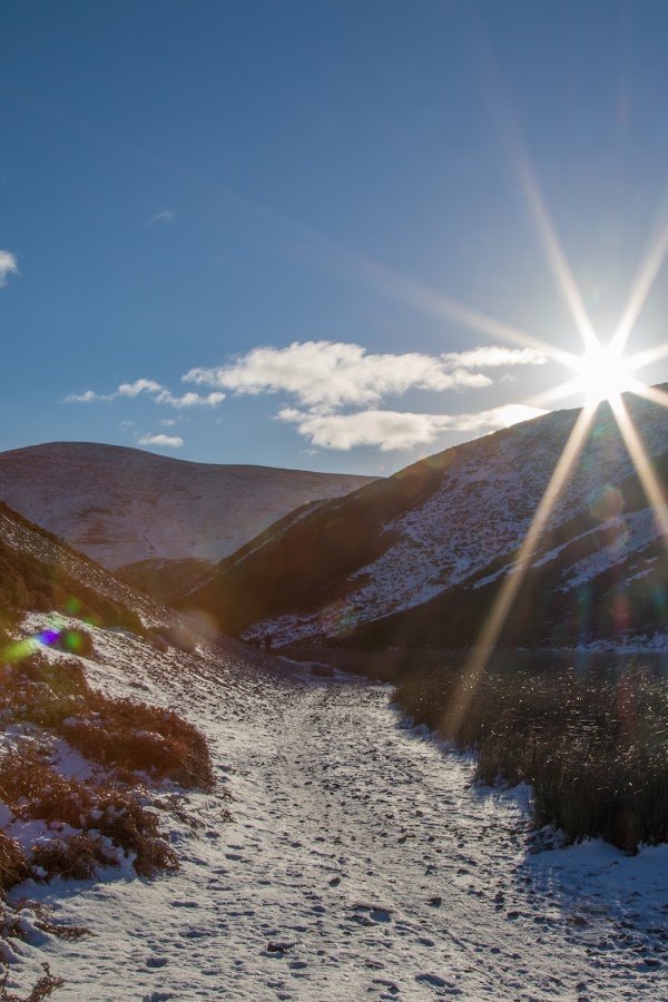 Pentland Hills 2