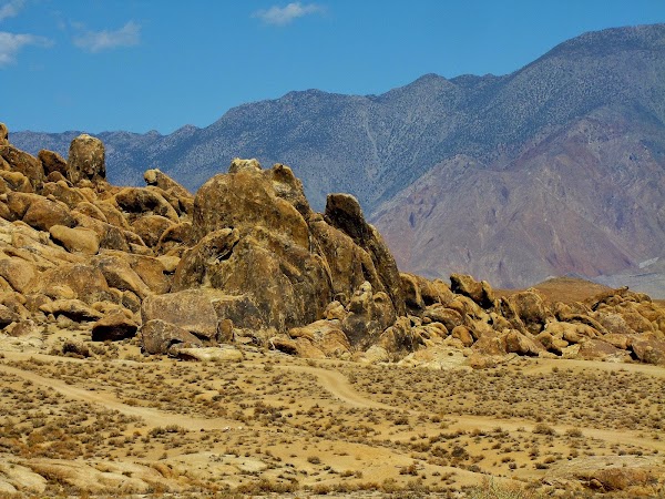 Movie Road