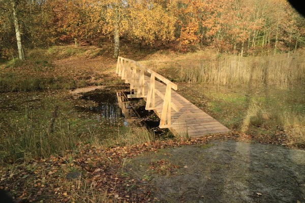 Nystrup Klitplantage 5