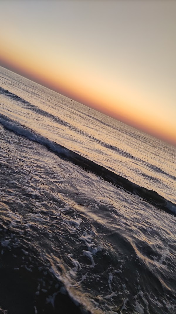 Alicante 6