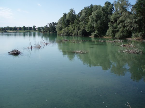 Schlosssee 5
