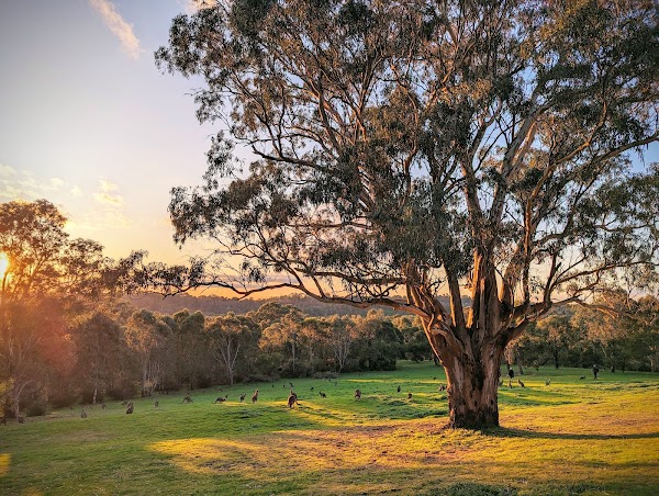 Westerfolds Park 2