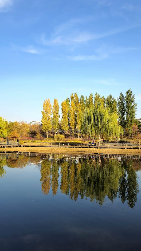 Lake Garden