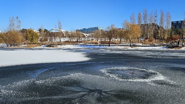 Lake Garden 2